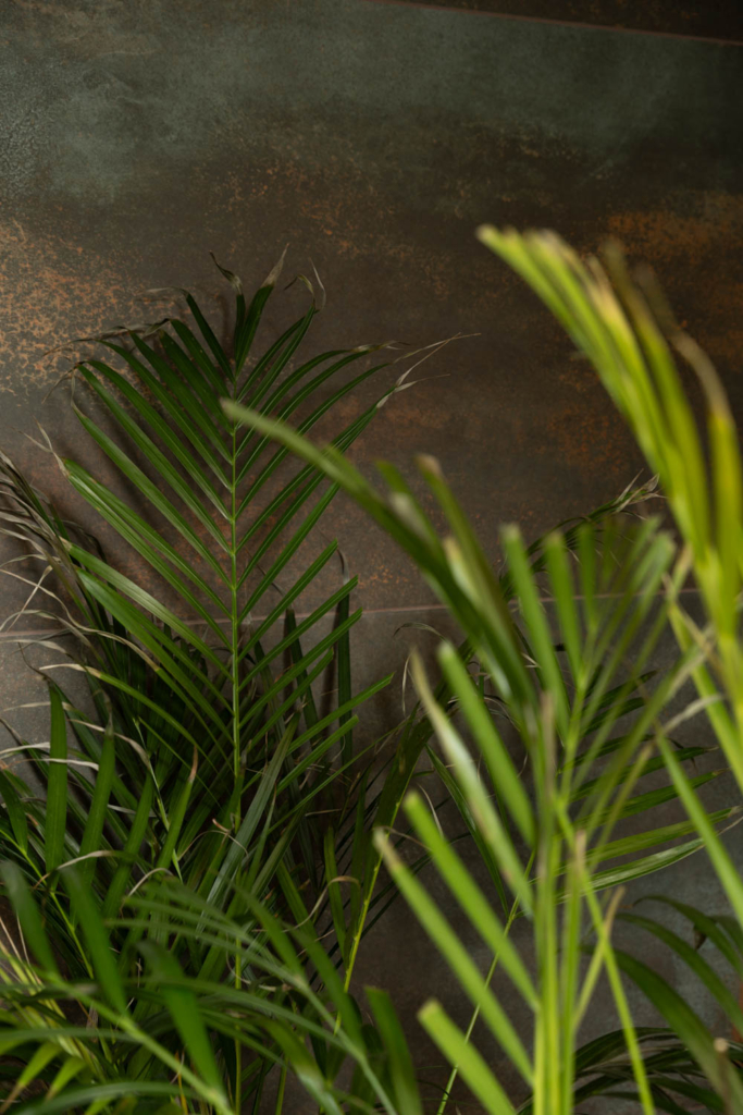 kolektywne studio fotograficzne gdańsk sala wodna