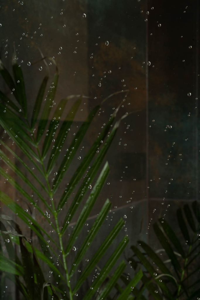 kolektywne studio fotograficzne gdańsk sala wodna